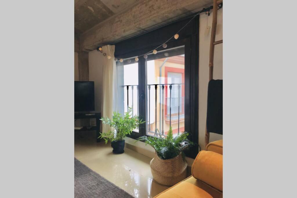 Apartamento Centro Catedral Botanico *