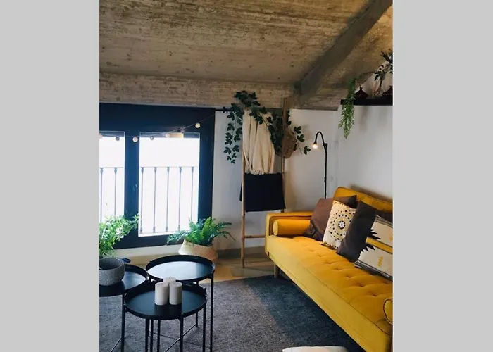 Apartamento Centro Catedral Botanico